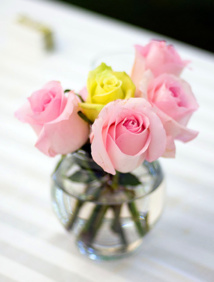 CC Flickr Corey Ann CC Flickr Corey Ann